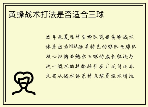 黄蜂战术打法是否适合三球
