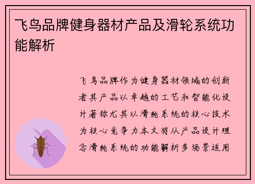 飞鸟品牌健身器材产品及滑轮系统功能解析